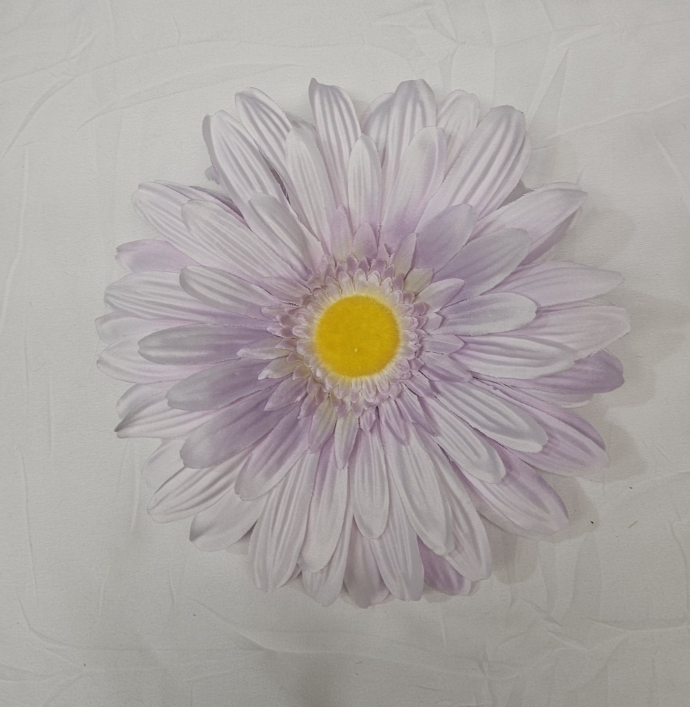 Lavender Daisy Flower with Yellow Center